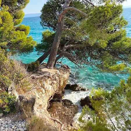 Appartamento Studie-apartment In Makarska, Kroatien *