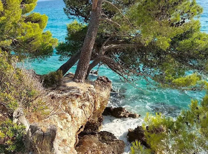 شقة Studie-apartment In Makarska, Kroatien *